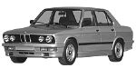 BMW E28 P244D Fault Code