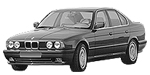 BMW E34 P244D Fault Code